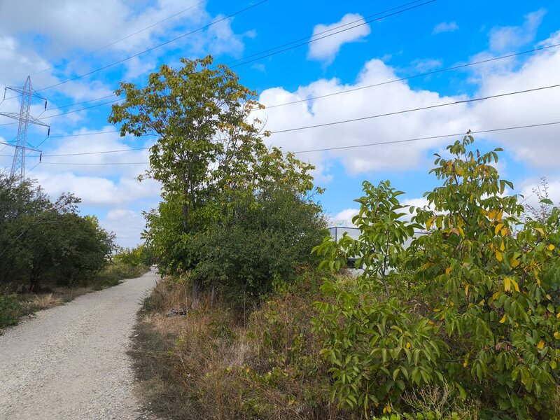 Popesti Leordeni, strada Viilor