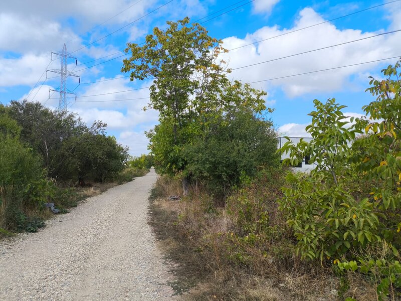 Popesti Leordeni, strada Viilor