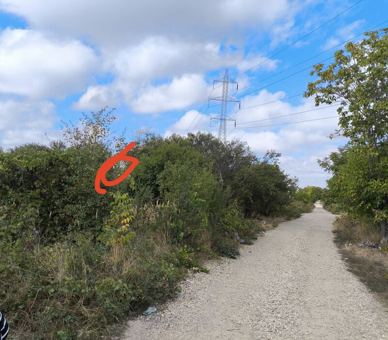 Popesti Leordeni, strada Viilor